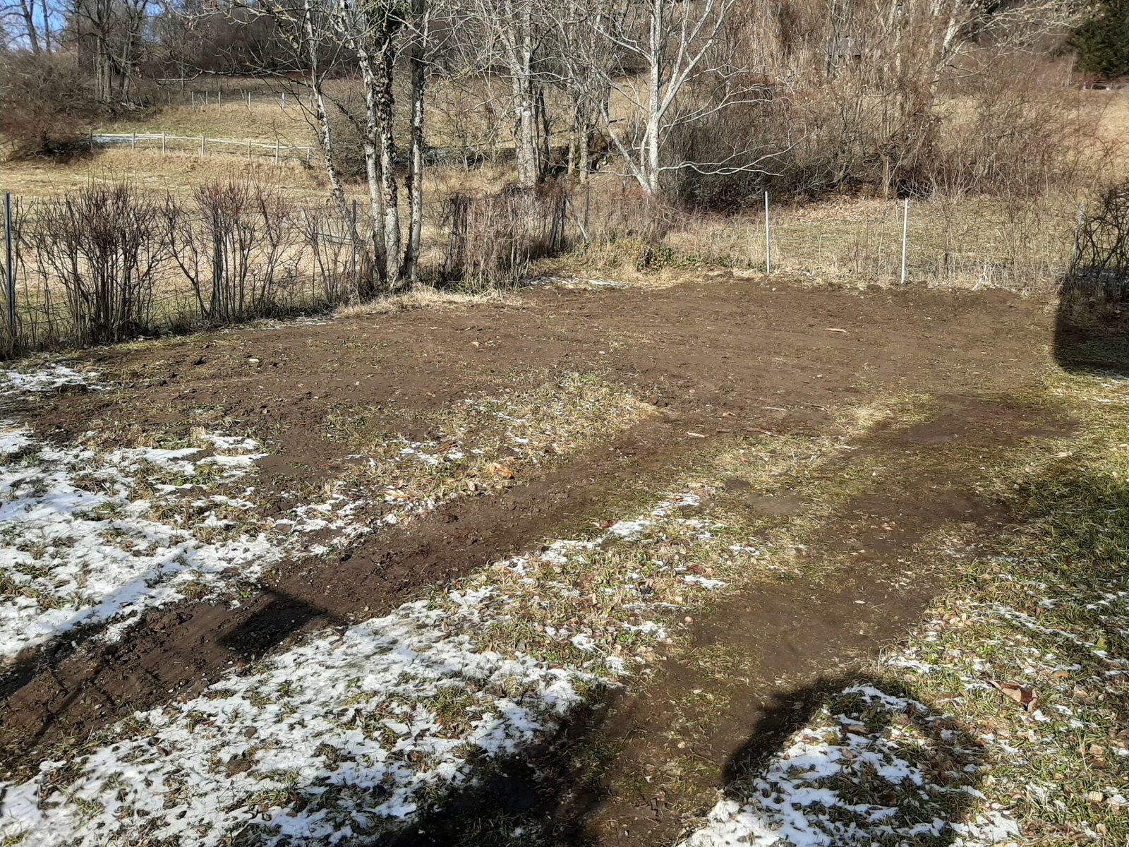 Forstwegarbeiten von Salamon Erdbewegung und Winterdienst